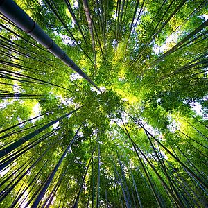 Фотогалерея