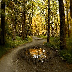 Фотогалерея